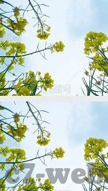 足球实时比分球探-足球实时比分球探，解锁赛场风云的数字密码